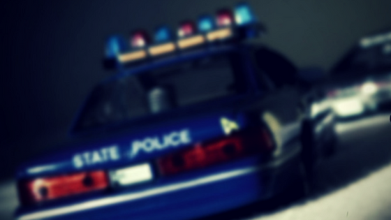 Malcolm Rosenfeld - Blog 2 - Why Mass State Police Union